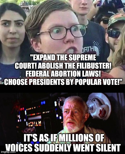 hahahahaha | "EXPAND THE SUPREME COURT! ABOLISH THE FILIBUSTER! FEDERAL ABORTION LAWS! CHOOSE PRESIDENTS BY POPULAR VOTE!"; IT'S AS IF MILLIONS OF VOICES SUDDENLY WENT SILENT | image tagged in triggered liberal,obi wan million voices | made w/ Imgflip meme maker