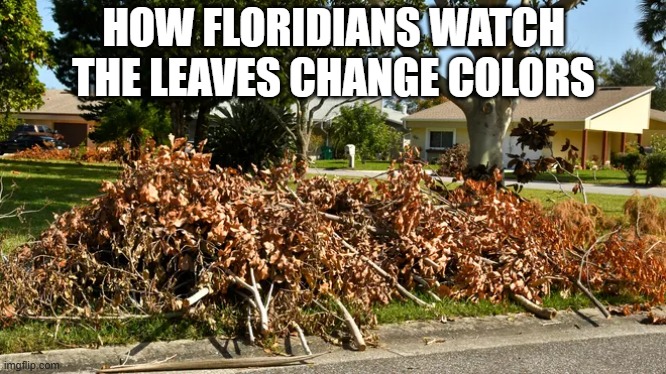 Where summer never ends... | HOW FLORIDIANS WATCH THE LEAVES CHANGE COLORS | image tagged in meanwhile in florida,hurricanes,seasons,autumn leaves | made w/ Imgflip meme maker