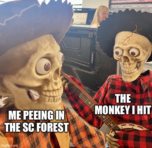 Monkey’seye | THE MONKEY I HIT; ME PEEING IN THE SC FOREST | image tagged in scare down alt | made w/ Imgflip meme maker