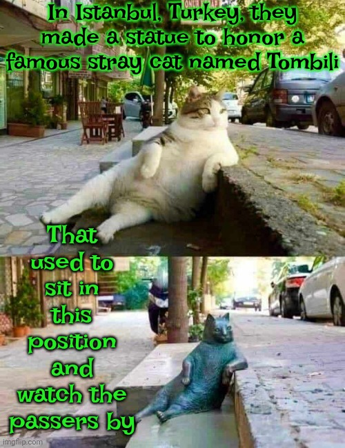 Cat Art | In Istanbul, Turkey, they made a statue to honor a famous stray cat named Tombili; That used to sit in this position and watch the passers by | image tagged in statue,bronze statue,cat,cats,memes,art | made w/ Imgflip meme maker