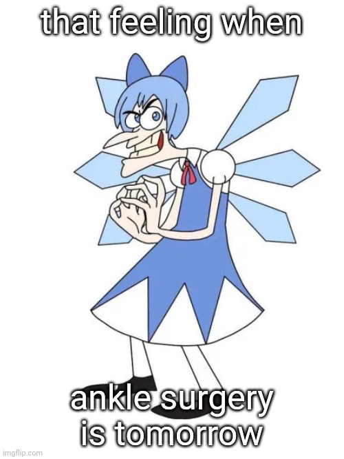 Touhoufenshmirtz | that feeling when; ankle surgery is tomorrow | image tagged in touhoufenshmirtz | made w/ Imgflip meme maker