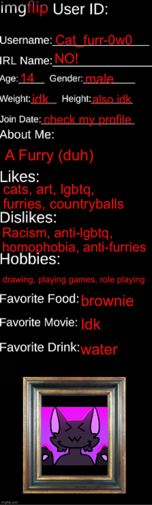 imgflip ID Card | Cat_furr-0w0; NO! 14; male; idk; also idk; check my profile; A Furry (duh); cats, art, lgbtq, furries, countryballs; Racism, anti-lgbtq, homophobia, anti-furries; drawing, playing games, role playing; brownie; Idk; water | image tagged in imgflip id card | made w/ Imgflip meme maker