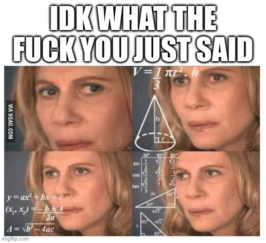 Thinking lady | IDK WHAT THE FUCK YOU JUST SAID | image tagged in thinking lady | made w/ Imgflip meme maker