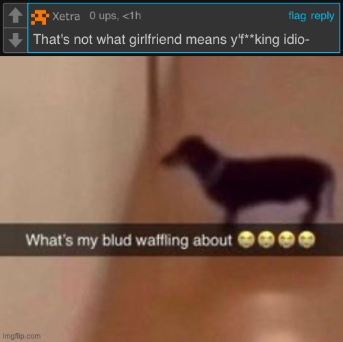 Completely bullshit comment section that no one cares about | image tagged in what's my blud waffling about | made w/ Imgflip meme maker