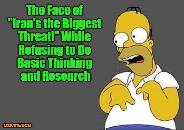 Please Educate Yourselves About the Connections Between "It's Iraq!" and "It's Iran!" Then Get Vocal. Peace Needs Us. | The Face of 

"Iran's the Biggest 

Threat!" While 

Refusing to Do 

Basic Thinking 

and Research; OzwinEVCG | image tagged in homer simpsons dumb face,iraq,weapons of mass destruction,iran,history rhymes,occupied gov lies | made w/ Imgflip meme maker