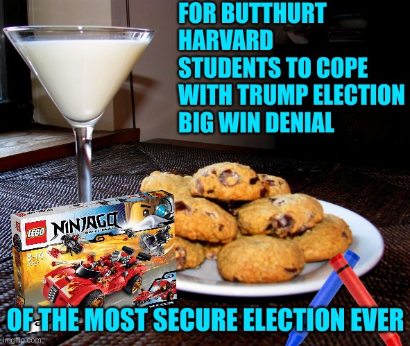 Then they can cry themselves to sleep in our exclusive blow up dolls arms | FOR BUTTHURT HARVARD STUDENTS TO COPE WITH TRUMP ELECTION BIG WIN DENIAL; OF THE MOST SECURE ELECTION EVER | image tagged in cookies and milk martini | made w/ Imgflip meme maker