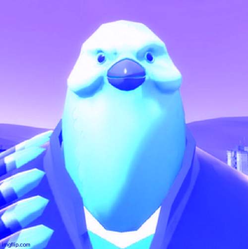 pootis. | image tagged in pootis bird | made w/ Imgflip meme maker