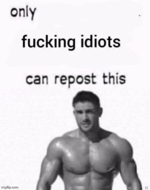 This is my 269th downloaded image lmao | made w/ Imgflip meme maker