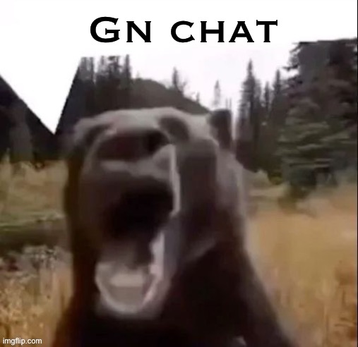 Fedy Faber | Gn chat | image tagged in fedy faber | made w/ Imgflip meme maker