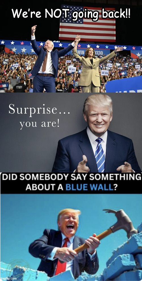 Not everyone was gaslit by the lib MSM | image tagged in msm,gaslighting america,saying race was too close to call,dem internal polling,showed trump with over 400 electoral votes | made w/ Imgflip meme maker