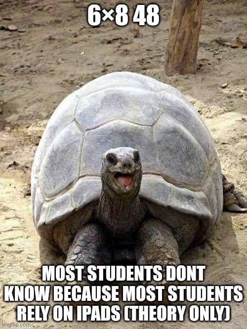 Happy turtle | 6×8 48; MOST STUDENTS DONT KNOW BECAUSE MOST STUDENTS RELY ON IPADS (THEORY ONLY) | image tagged in math is math,mathematics | made w/ Imgflip meme maker