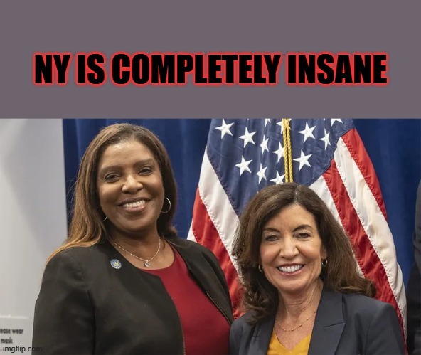 NY IS COMPLETELY INSANE | made w/ Imgflip meme maker