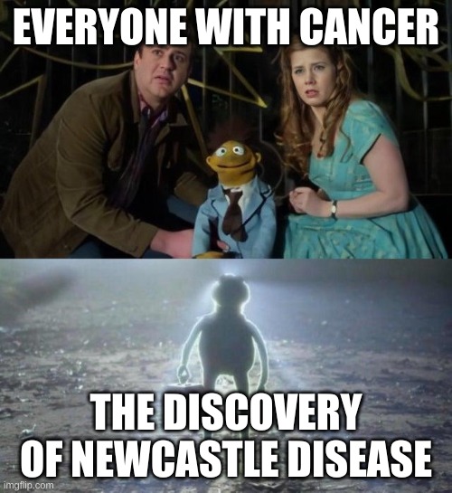 Kermit Arrives | EVERYONE WITH CANCER; THE DISCOVERY OF NEWCASTLE DISEASE | image tagged in kermit arrives | made w/ Imgflip meme maker