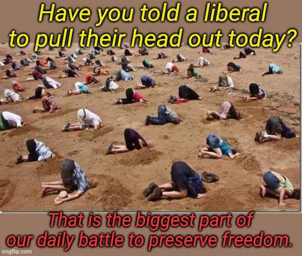 Don't use their terminology or accept their premise... | Have you told a liberal to pull their head out today? That is the biggest part of our daily battle to preserve freedom. | image tagged in head in sand | made w/ Imgflip meme maker