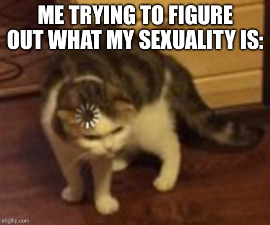 Help | ME TRYING TO FIGURE OUT WHAT MY SEXUALITY IS: | image tagged in loading cat | made w/ Imgflip meme maker