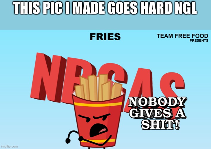 Fries nobody gives a shit | THIS PIC I MADE GOES HARD NGL | image tagged in fries nobody gives a shit | made w/ Imgflip meme maker