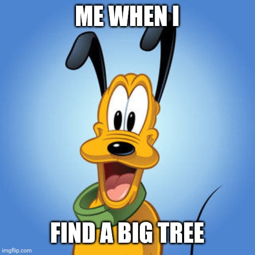 This meme is from my dream. | ME WHEN I; FIND A BIG TREE | image tagged in pluto,dreams | made w/ Imgflip meme maker