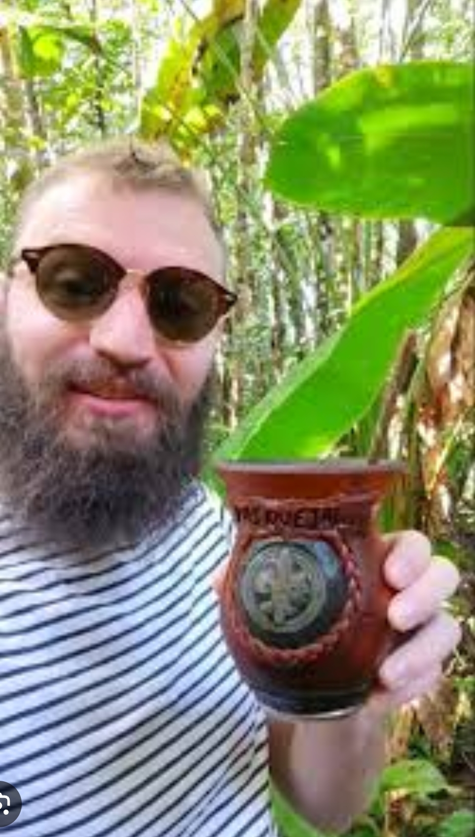 Antoine Goya le beau Blank Meme Template