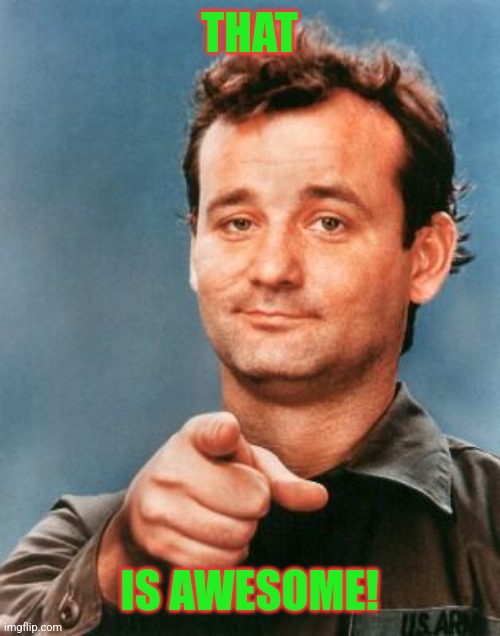 Bill Murray You're Awesome | THAT IS AWESOME! | image tagged in bill murray you're awesome | made w/ Imgflip meme maker