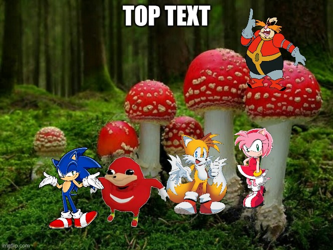 Mushrooms | TOP TEXT | image tagged in mushrooms | made w/ Imgflip meme maker