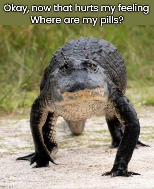 Okay, now that hurts my feeling Where are my pills? | made w/ Imgflip meme maker