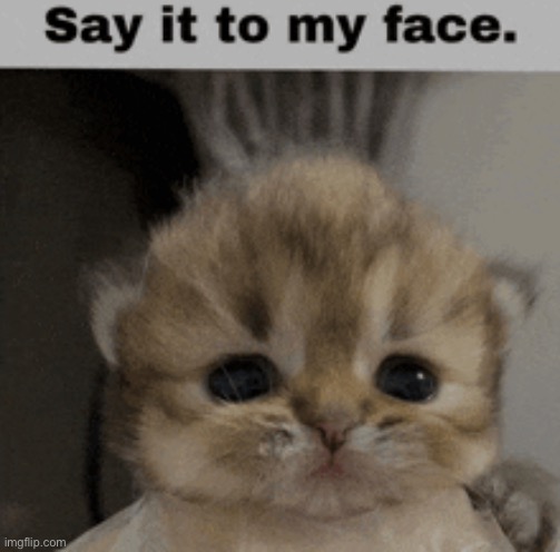 say it to my face | made w/ Imgflip meme maker