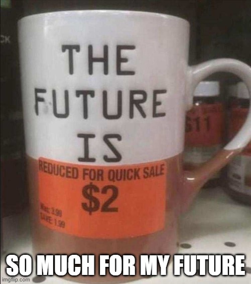 Cheap future | SO MUCH FOR MY FUTURE | image tagged in you had one job | made w/ Imgflip meme maker