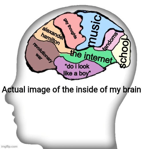 uh | music; gay thoughts; alexander hamilton; fandoms; revolutionary war; school; the internet; “do i look like a boy” | image tagged in actual image of the inside of my brain | made w/ Imgflip meme maker