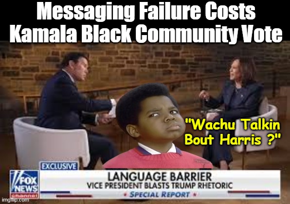 Couldn't even get the Dead Black Voters | Messaging Failure Costs Kamala Black Community Vote; "Wachu Talkin Bout Harris ?" | image tagged in gary coleman willis kamala meme | made w/ Imgflip meme maker