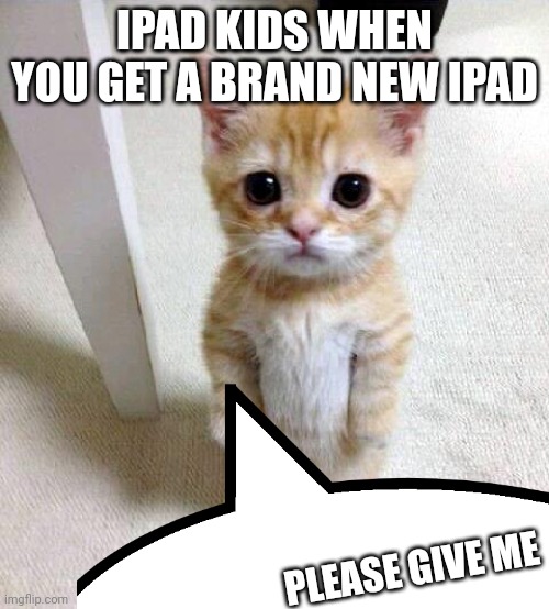 Noo I won't give you cheesy balls | IPAD KIDS WHEN YOU GET A BRAND NEW IPAD; PLEASE GIVE ME | image tagged in memes,cute cat | made w/ Imgflip meme maker