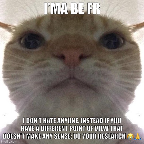 People really need to understand what’s going on before making conclusions | I’MA BE FR; I DON’T HATE ANYONE, INSTEAD IF YOU HAVE A DIFFERENT POINT OF VIEW THAT DOESN’T MAKE ANY SENSE; DO YOUR RESEARCH 😭🙏 | image tagged in staring cat/gusic | made w/ Imgflip meme maker