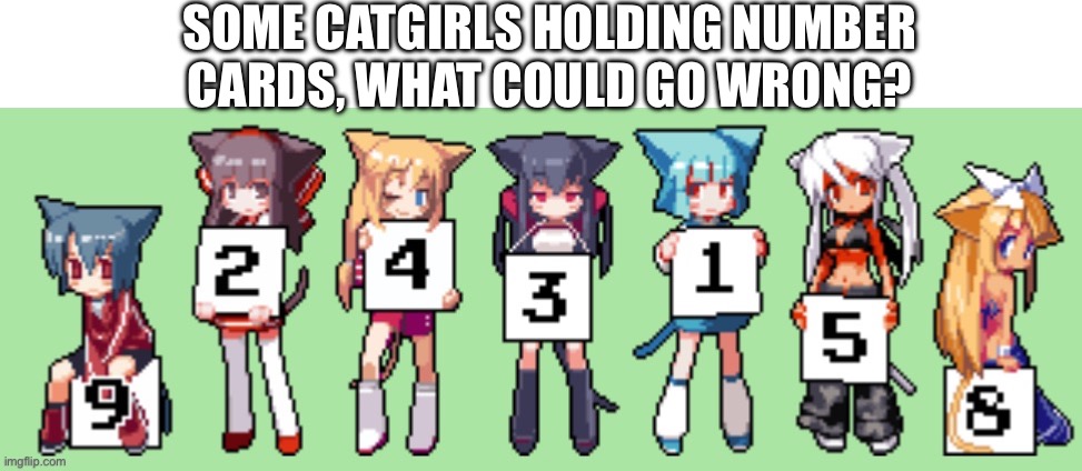 Oh no | SOME CATGIRLS HOLDING NUMBER CARDS, WHAT COULD GO WRONG? | image tagged in oh no,people who don't know vs people who know,cursed image,cursed,why are you reading the tags | made w/ Imgflip meme maker