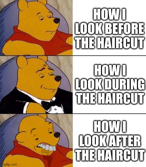 Best,Better, Blurst | HOW I LOOK BEFORE THE HAIRCUT; HOW I LOOK DURING THE HAIRCUT; HOW I LOOK AFTER THE HAIRCUT | image tagged in best better blurst | made w/ Imgflip meme maker