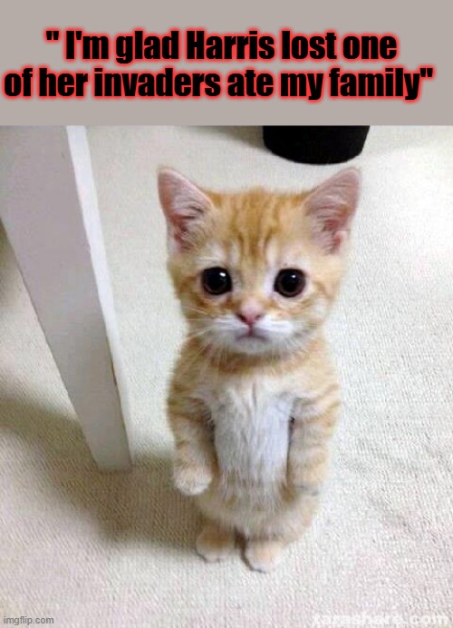 PISSED off cat | " I'm glad Harris lost one of her invaders ate my family" | image tagged in memes,cute cat | made w/ Imgflip meme maker