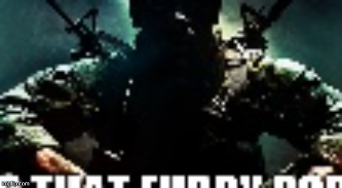 r | image tagged in is that furry por | made w/ Imgflip meme maker