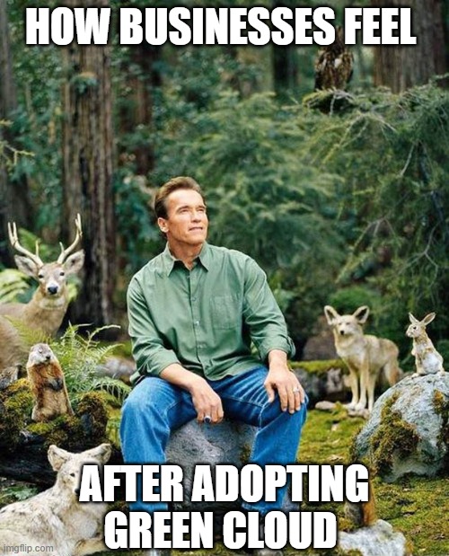 Arnold nature | HOW BUSINESSES FEEL; AFTER ADOPTING GREEN CLOUD | image tagged in arnold nature | made w/ Imgflip meme maker