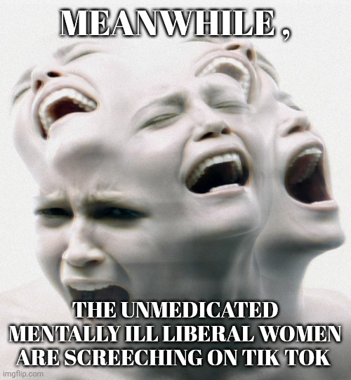 liberal memes | MEANWHILE , THE UNMEDICATED MENTALLY ILL LIBERAL WOMEN ARE SCREECHING ON TIK TOK | image tagged in png woman with mental illness | made w/ Imgflip meme maker