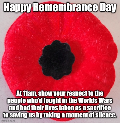 Title Image | Happy Remembrance Day; At 11am, show your respect to the people who'd fought in the Worlds Wars and had their lives taken as a sacrifice to saving us by taking a moment of silence. | image tagged in remember that time,not a meme | made w/ Imgflip meme maker