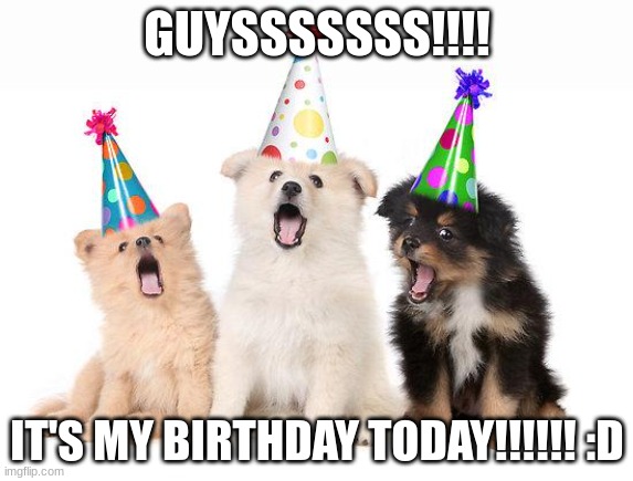 IT'S MY BIRTHDAY!!! | GUYSSSSSSS!!!! IT'S MY BIRTHDAY TODAY!!!!!! :D | image tagged in happy birthday puppies | made w/ Imgflip meme maker