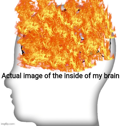 aaaa i am on fire | image tagged in aaaa i am on fire | made w/ Imgflip meme maker