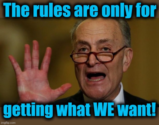 Chuck Schumer | The rules are only for getting what WE want! | image tagged in chuck schumer | made w/ Imgflip meme maker