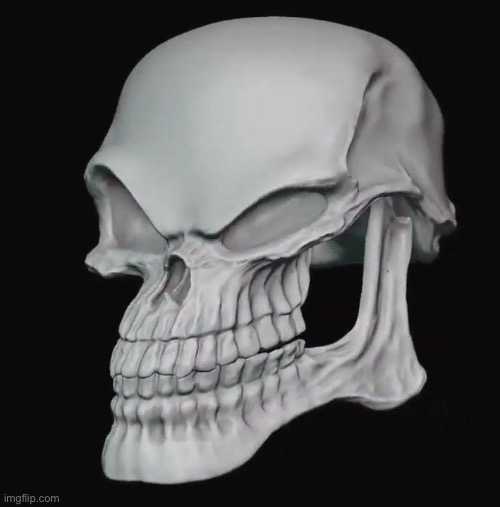 Funny skull | image tagged in funny skull | made w/ Imgflip meme maker