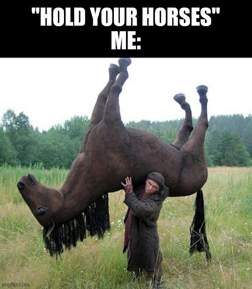 Hold your horses | "HOLD YOUR HORSES"
ME: | image tagged in memes,template,funny,horse,hold up | made w/ Imgflip meme maker