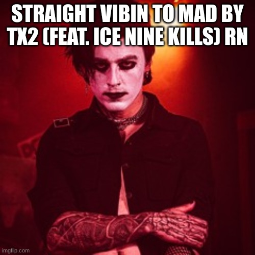 VIBIN | STRAIGHT VIBIN TO MAD BY TX2 (FEAT. ICE NINE KILLS) RN | image tagged in tx2 | made w/ Imgflip meme maker