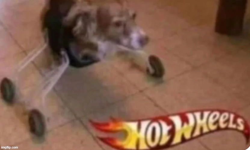 hot wheels | image tagged in hot wheels | made w/ Imgflip meme maker