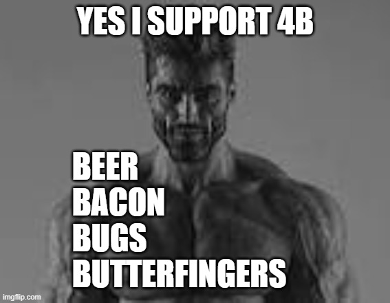 Giga chad | YES I SUPPORT 4B; BEER
BACON
BUGS
BUTTERFINGERS | image tagged in giga chad | made w/ Imgflip meme maker