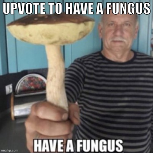 have a fungus | UPVOTE TO HAVE A FUNGUS | image tagged in have a fungus | made w/ Imgflip meme maker