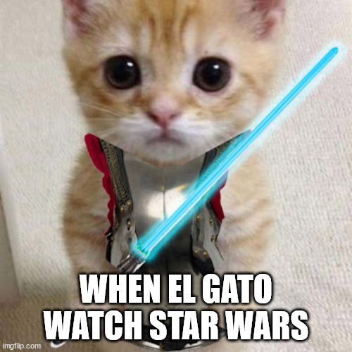 WHEN EL GATO WATCH STAR WARS | image tagged in cat,star wars,lightsaber | made w/ Imgflip meme maker