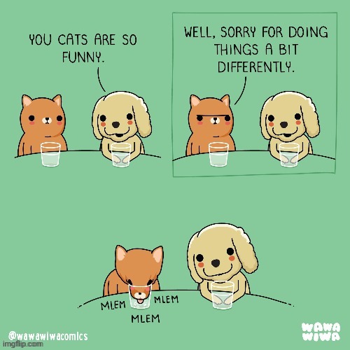 Cup | image tagged in cats,cat,dog,cup,comics,comics/cartoons | made w/ Imgflip meme maker