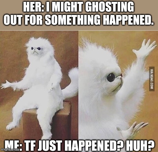 Wait what?! | HER: I MIGHT GHOSTING OUT FOR SOMETHING HAPPENED. ME: TF JUST HAPPENED? HUH? | image tagged in confused white monkey | made w/ Imgflip meme maker